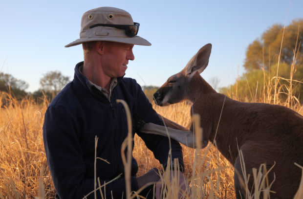 Annex Signs Award-Winning Wildlife Director Mateo Willis