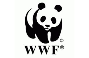 JWT London Wins WWF-UK Tiger Campaign