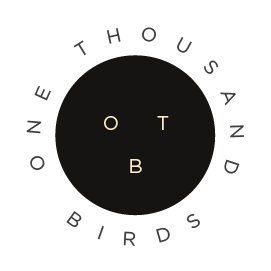 One Thousand Birds