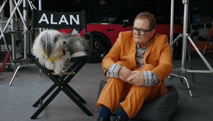 Adorable Dog Upstages Alan Carr as ‘Ambassadog’ in MINI and Dogs Trust Partnership