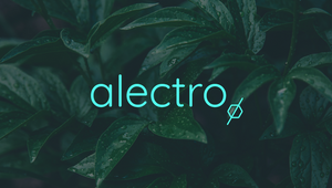 Conquering Carbon Reporting with Alectro