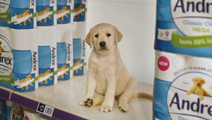 Adorable Andrex Puppy Shares the Love in Touching 80th Anniversary Spot