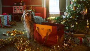 Boots Brings Christmas Cheer with a 'Bag of Joy'