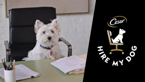 CESAR’s Canine Cuisine Commits to a More Dog Friendly World with Pet Workplaces