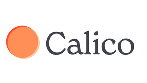 VCCP Group Launches Calico to Revolutionise Market Research Operations