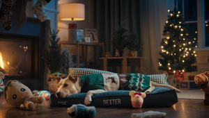 Chewy Helps Pet Owners Celebrate Love and Companionship This Festive Season