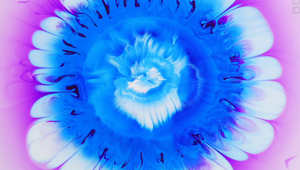 Stunning Macro Detail and Vibrant Musical Energy In Latest Colourtrend Paint Ad