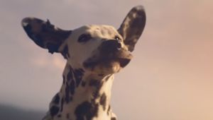 We Can Only Hope to Be as Happy as the Dog Enjoying the Wind in Budweiser's Super Bowl Ad