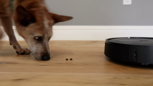 Dogs and Vacuums Are Finally Friends with Roomba's T.R.E.A.T. Pet Dispenser 