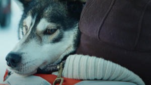 Father and Son Go on Journey of a Lifetime with ‘Husky Frida’ in Dutch State Lottery Film