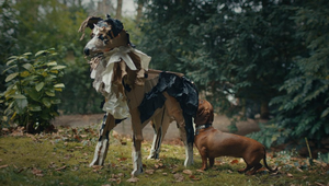 Edgard & Cooper Launches Provocative Campaign Championing Junk Free Pet Food