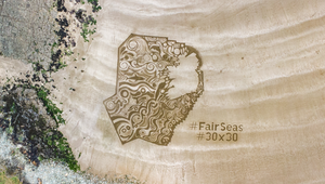 Fair Seas Sends a Letter from the Sea to Mark World Ocean Day 