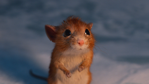 Framestore, STUDIOCANAL and Blueprint Pictures Deliver VFX for 'A Boy Called Christmas'