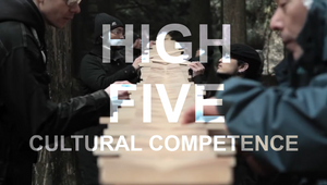 High Five Cultural Competence: thenetworkone