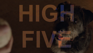 High Five: Hungary