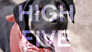 High Five: Chile