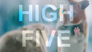 High Five: Netherlands