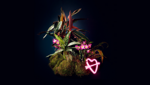 Houseplants are Reimagined as Romantic Partners in Lonely Plants Club's Match-Making Campaign    