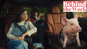 Why Subaru Took a Family Pig to the City