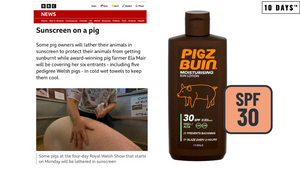 Saving Their Bacon... Sunscreen Saves Pigs From Sizzling in Heatwave 