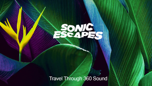 How Felt Music Travelled the World Through 360° Sonic Experiences 