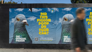 Take 5 Gifts Thousands of Free Car Washes for Every Car Pooped on by Its Official Pigeon