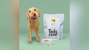tails.com Appoints The Or as Its New Creative Agency