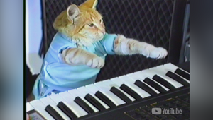 Alt_Mix Remixes YouTube’s ‘Keyboard Cat’ for NFL Sunday Ticket Super Bowl Spot