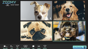 California Tech Firm Launches Dog Video Platform 'Zoomy Woof Woof'