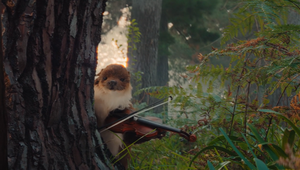 Wieden+Kennedy Amsterdam Highlights the 'Otter-Ley' Awesome Features of Samsung’s Latest Model