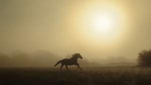 Ridley Scott's ‘Behold’ Is a Stunning Short Film Shot Entirely on the Samsung Galaxy S23 Ultra