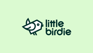 Little Birdie Hatches New Brand Identity and Website