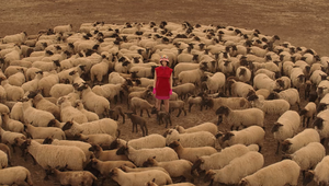 Chevrolet Shows That Being a ‘Black Sheep' Is an Invitation to Go Further in Latest Campaign