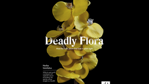 'Deadly Flora' Campaign Highlights the Impact Plastic Has on the Environment