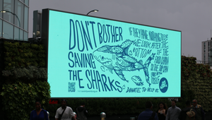 Provocative DOOH Campaign for Marine Charity Our Only World Tells People to ‘Stop Saving the Whales'