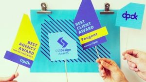 DPDK Wins Multiple International CSS Design Awards