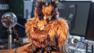 ‘Flaco’ Joins Superheroes as AI Creative Director Owl