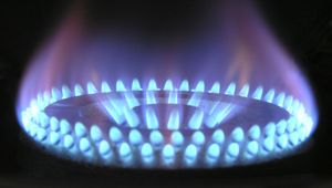 “Sticking Our Head in the Sand Wasn’t An Option”: British Gas on Navigating the Energy Crisis