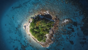 Cruise Company PONANT Lets Nature Be Its Guide in Scenic Campaign from Fred & Farid LA