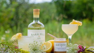 Barr Hill Gin Toasts Terri & Sandy as Its First Agency of Record