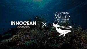 Innocean is Here to Help Aussies Save Our Oceans