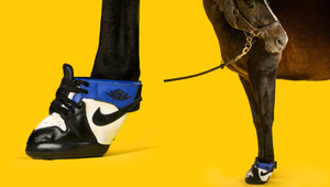 ‘Horse Kicks’ Turns Hyped Human Sneakers into Fashionable Footwear for Equine Athletes