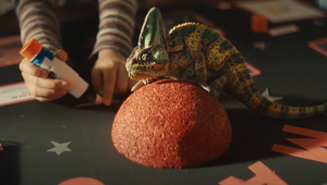 Boy Conquers the Internet with His Chameleon in Sparklight Spot