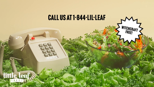 Lettuce Speaks for Itself in Little Leaf Farms’ Hotline Campaign from GYK Antler
