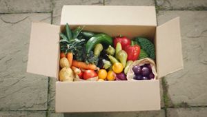 Do Good and Stay Odd: Why Oddbox Is Taking Its Mission to Fight Food Waste to TV