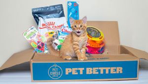Pet Circle Appoints Analogfolk after Competitive Pitch