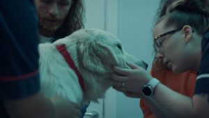 Pets at Home Spotlights the Passion and Dedication of Vets in Powerful Film