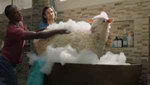 Sheep Breaks From the Herd in VW Campaign from Johannes Leonardo