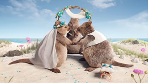 HBF’s Quokkas Question Happily Ever after in New Campaign from Leo Burnett